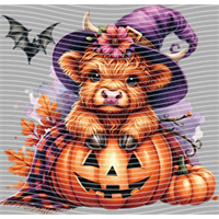 Halloween-WS 5796